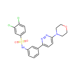 O=S(=O)(Nc1cccc(-c2ccc(N3CCOCC3)nn2)c1)c1ccc(Cl)c(Cl)c1 ZINC000009714609