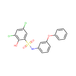 O=S(=O)(Nc1cccc(Oc2ccccc2)c1)c1cc(Cl)cc(Cl)c1O ZINC000028951420