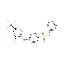 O=S(=O)(Nc1ccccc1)c1ccc(Oc2ncc(C(F)(F)F)cc2Cl)cc1 ZINC000001382326