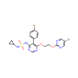 O=S(=O)(Nc1ncnc(OCCOc2ncc(Br)cn2)c1-c1ccc(Br)cc1)NC1CC1 ZINC000095555387