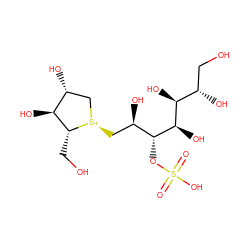 O=S(=O)(O)O[C@H]([C@H](O)C[S@+]1C[C@@H](O)[C@H](O)[C@H]1CO)[C@H](O)[C@@H](O)[C@@H](O)CO ZINC000044460370
