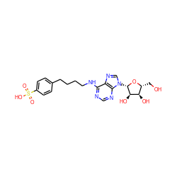 O=S(=O)(O)c1ccc(CCCCNc2ncnc3c2ncn3[C@@H]2O[C@H](CO)[C@@H](O)[C@H]2O)cc1 ZINC000012405460