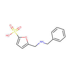 O=S(=O)(O)c1ccc(CNCc2ccccc2)o1 ZINC000042922899