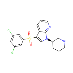 O=S(=O)(c1cc(Cl)cc(Cl)c1)c1cn([C@@H]2CCCNC2)c2ncccc12 ZINC000028862395