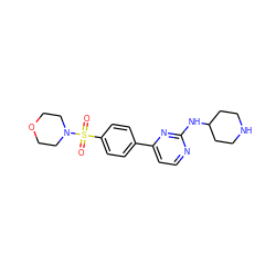 O=S(=O)(c1ccc(-c2ccnc(NC3CCNCC3)n2)cc1)N1CCOCC1 ZINC000071330218