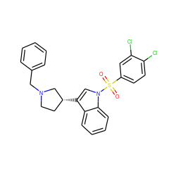 O=S(=O)(c1ccc(Cl)c(Cl)c1)n1cc([C@@H]2CCN(Cc3ccccc3)C2)c2ccccc21 ZINC000028527073