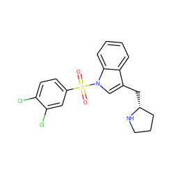 O=S(=O)(c1ccc(Cl)c(Cl)c1)n1cc(C[C@@H]2CCCN2)c2ccccc21 ZINC000028526361