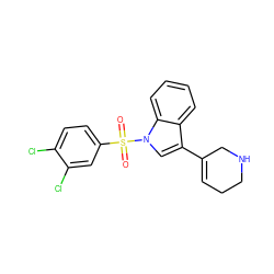 O=S(=O)(c1ccc(Cl)c(Cl)c1)n1cc(C2=CCCNC2)c2ccccc21 ZINC000028526369