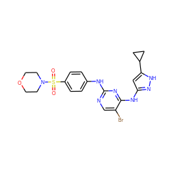 O=S(=O)(c1ccc(Nc2ncc(Br)c(Nc3cc(C4CC4)[nH]n3)n2)cc1)N1CCOCC1 ZINC000203007632