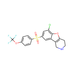 O=S(=O)(c1ccc(OC(F)(F)F)cc1)c1cc(Cl)c2oc3c(c2c1)CNCC3 ZINC000147940902