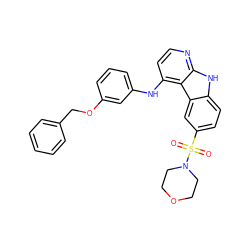 O=S(=O)(c1ccc2[nH]c3nccc(Nc4cccc(OCc5ccccc5)c4)c3c2c1)N1CCOCC1 ZINC000103297564