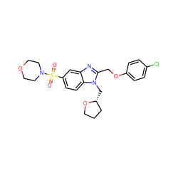 O=S(=O)(c1ccc2c(c1)nc(COc1ccc(Cl)cc1)n2C[C@@H]1CCCO1)N1CCOCC1 ZINC000006467681