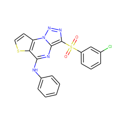 O=S(=O)(c1cccc(Cl)c1)c1nnn2c1nc(Nc1ccccc1)c1sccc12 ZINC000020516497