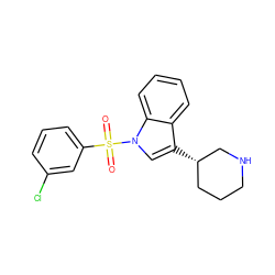 O=S(=O)(c1cccc(Cl)c1)n1cc([C@H]2CCCNC2)c2ccccc21 ZINC000003976227