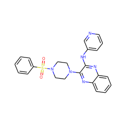 O=S(=O)(c1ccccc1)N1CCN(c2nc3ccccc3nc2Nc2cccnc2)CC1 ZINC000144384382