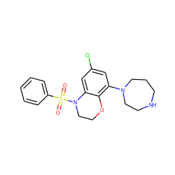 O=S(=O)(c1ccccc1)N1CCOc2c(N3CCCNCC3)cc(Cl)cc21 ZINC000028948493