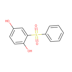 O=S(=O)(c1ccccc1)c1cc(O)ccc1O ZINC000000036686