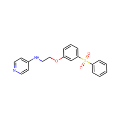 O=S(=O)(c1ccccc1)c1cccc(OCCNc2ccncc2)c1 ZINC000013494025