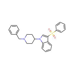 O=S(=O)(c1ccccc1)c1cn(C2CCN(Cc3ccccc3)CC2)c2ccccc12 ZINC000038560359