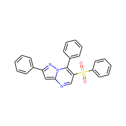 O=S(=O)(c1ccccc1)c1cnc2cc(-c3ccccc3)nn2c1-c1ccccc1 ZINC000000988028