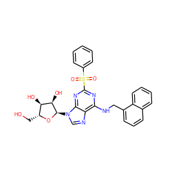 O=S(=O)(c1ccccc1)c1nc(NCc2cccc3ccccc23)c2ncn([C@H]3O[C@H](CO)[C@@H](O)[C@H]3O)c2n1 ZINC000049767521