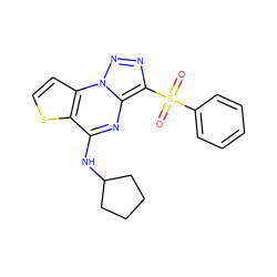 O=S(=O)(c1ccccc1)c1nnn2c1nc(NC1CCCC1)c1sccc12 ZINC000020516285