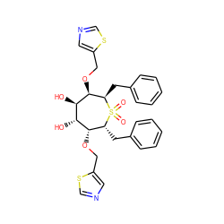 O=S1(=O)[C@H](Cc2ccccc2)[C@H](OCc2cncs2)[C@H](O)[C@@H](O)[C@@H](OCc2cncs2)[C@H]1Cc1ccccc1 ZINC000027085421