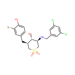 O=S1(=O)C[C@@H](Cc2ccc(O)c(Br)c2)[C@H](O)[C@@H](NCc2cc(Cl)cc(Cl)c2)C1 ZINC000071329245