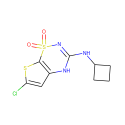 O=S1(=O)N=C(NC2CCC2)Nc2cc(Cl)sc21 ZINC000013491174