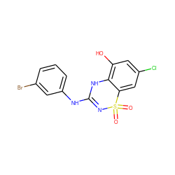 O=S1(=O)N=C(Nc2cccc(Br)c2)Nc2c(O)cc(Cl)cc21 ZINC000028822690