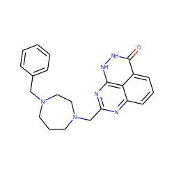 O=c1[nH][nH]c2nc(CN3CCCN(Cc4ccccc4)CC3)nc3cccc1c32 ZINC000059275778