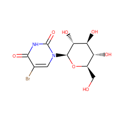 O=c1[nH]c(=O)n([C@@H]2O[C@H](CO)[C@@H](O)[C@H](O)[C@H]2O)cc1Br ZINC000084671506