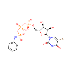 O=c1[nH]c(=O)n([C@@H]2O[C@H](CO[P@](=O)(O)O[P@](=O)(O)O[P@](=O)(O)Nc3ccccc3)[C@@H](O)[C@H]2O)cc1Br ZINC000072131678