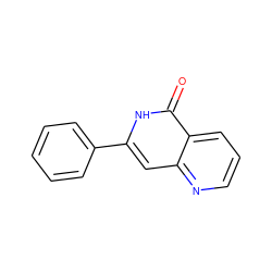 O=c1[nH]c(-c2ccccc2)cc2ncccc12 ZINC000034349508