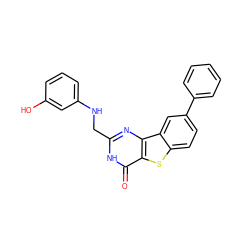 O=c1[nH]c(CNc2cccc(O)c2)nc2c1sc1ccc(-c3ccccc3)cc12 ZINC000045287392