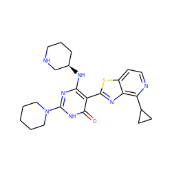 O=c1[nH]c(N2CCCCC2)nc(N[C@@H]2CCCNC2)c1-c1nc2c(C3CC3)nccc2s1 ZINC001772598884