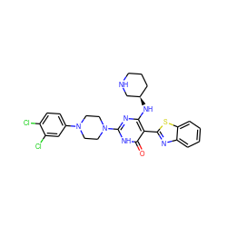 O=c1[nH]c(N2CCN(c3ccc(Cl)c(Cl)c3)CC2)nc(N[C@@H]2CCCNC2)c1-c1nc2ccccc2s1 ZINC001772618316