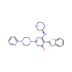 O=c1[nH]c(N2CCN(c3ccccn3)CC2)nc(N[C@@H]2CCCNC2)c1-c1nc2ccccc2s1 ZINC001772633302