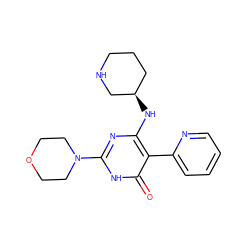 O=c1[nH]c(N2CCOCC2)nc(N[C@@H]2CCCNC2)c1-c1ccccn1 ZINC000220633398