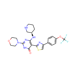 O=c1[nH]c(N2CCOCC2)nc(N[C@@H]2CCCNC2)c1-c1nc(-c2ccc(OC(F)(F)F)cc2)cs1 ZINC001772619941