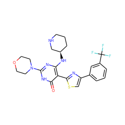 O=c1[nH]c(N2CCOCC2)nc(N[C@@H]2CCCNC2)c1-c1nc(-c2cccc(C(F)(F)F)c2)cs1 ZINC001772590996