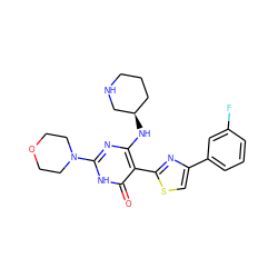 O=c1[nH]c(N2CCOCC2)nc(N[C@@H]2CCCNC2)c1-c1nc(-c2cccc(F)c2)cs1 ZINC001772656036