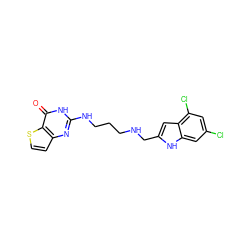 O=c1[nH]c(NCCCNCc2cc3c(Cl)cc(Cl)cc3[nH]2)nc2ccsc12 ZINC000033970058