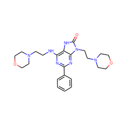 O=c1[nH]c2c(NCCN3CCOCC3)nc(-c3ccccc3)nc2n1CCN1CCOCC1 ZINC000208037911