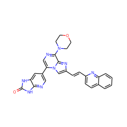 O=c1[nH]c2cc(-c3cnc(N4CCOCC4)c4nc(/C=C/c5ccc6ccccc6n5)cn34)cnc2[nH]1 ZINC001772592433