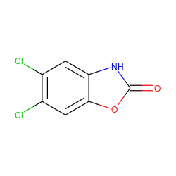 O=c1[nH]c2cc(Cl)c(Cl)cc2o1 ZINC000001615406