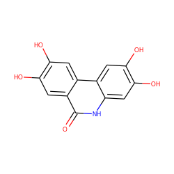 O=c1[nH]c2cc(O)c(O)cc2c2cc(O)c(O)cc12 ZINC000013737747