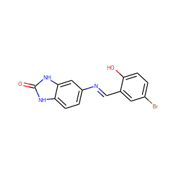 O=c1[nH]c2ccc(/N=C/c3cc(Br)ccc3O)cc2[nH]1 ZINC000003233546