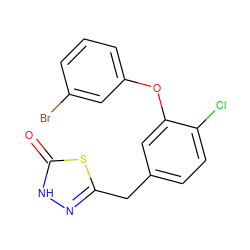 O=c1[nH]nc(Cc2ccc(Cl)c(Oc3cccc(Br)c3)c2)s1 ZINC000040878216