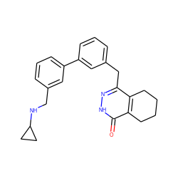 O=c1[nH]nc(Cc2cccc(-c3cccc(CNC4CC4)c3)c2)c2c1CCCC2 ZINC000167304178